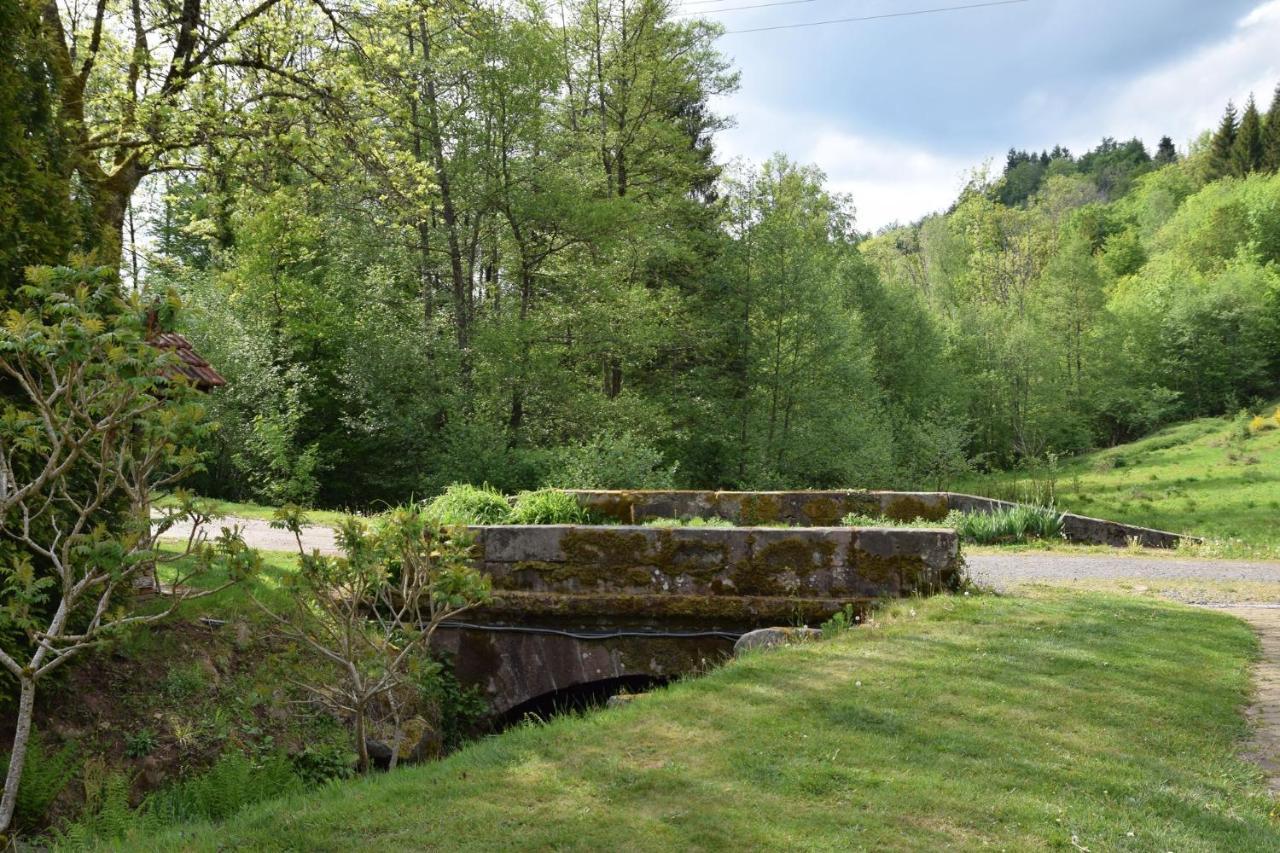 Vacance Conviviales Dans Les Vosges 8 Gites Ban-de-Sapt 外观 照片